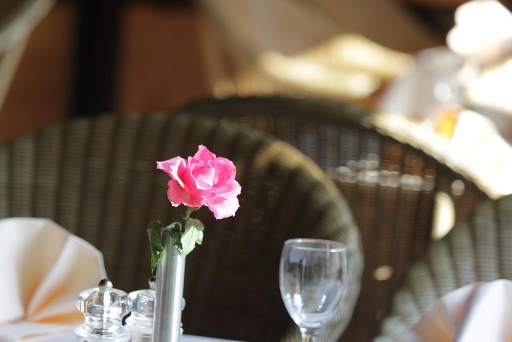 Relexa Hotel باد زالتسدتفورت المظهر الخارجي الصورة
